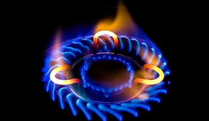 Suabejota “Lietuvos dujų” privatizavimo sandoriu