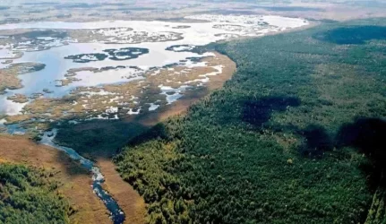 D. Kuodytė tikisi, kad prasidės diskusija dėl saugomų teritorijų politikos