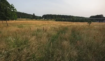 Lietuvoje apleistos žemės kasmet galėtų atnešti papildomai apie 1,35 mlrd. litų pajamų