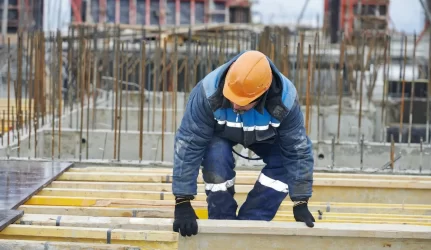 Statybų įstatymo vetavimas