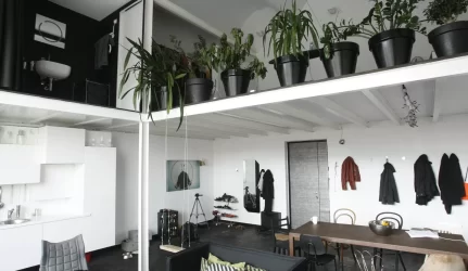 Žada dar pigesnių būstų, dar mažesnę nuomą