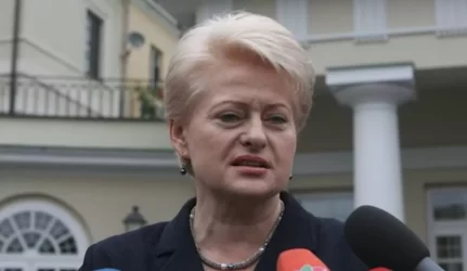 D.Grybauskaitė: Lietuva nieko nedarė, kad apsirūpintų alternatyviais energijos šaltiniais