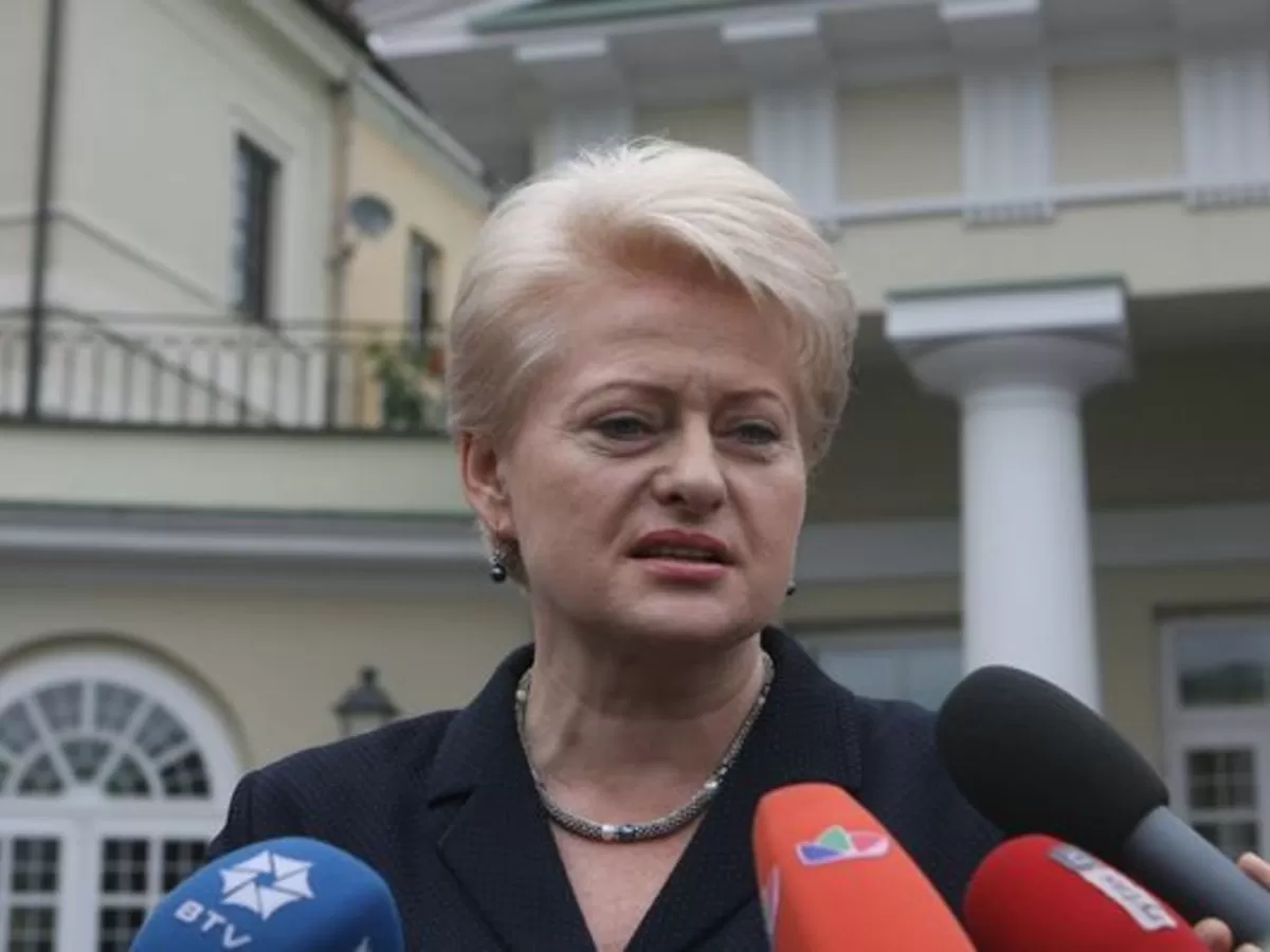 D.Grybauskaitė: Lietuva nieko nedarė, kad apsirūpintų alternatyviais energijos šaltiniais