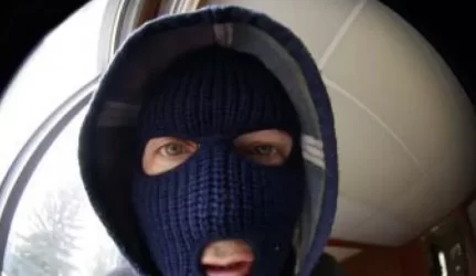 Sulaikytas vandens skaitiklių "meistras", pavogęs brangų paveikslą