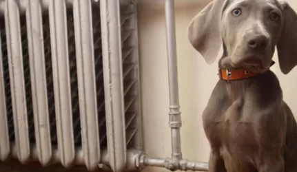 Šalčiai augina sąskaitas už šildymą