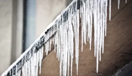 Nenumušti varvekliai gali "kainuoti" iki 2 tūkst. litų