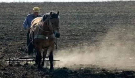 Žemės mokestis gali gerokai padidėti