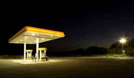 Brangus sklypas pavirto beverte pievole