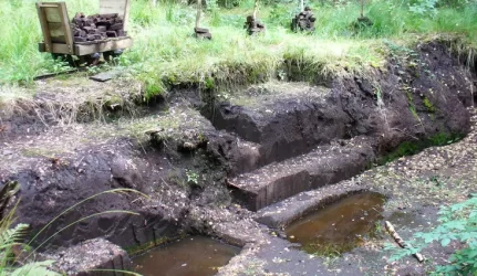Norėtų, kad durpės būtų pripažintos biokuru