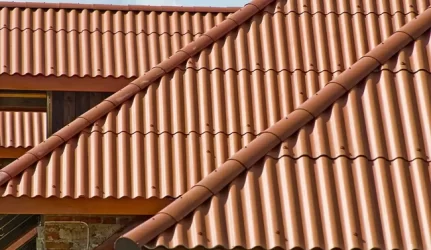 Pavojingų stogų keitimą pristabdė krizė