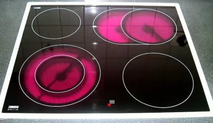 Ragina nenaikinti lengvatos naudojantiems elektrines virykles