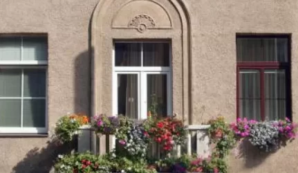 Vilnius pirmiausia pražysta miestiečių kieme