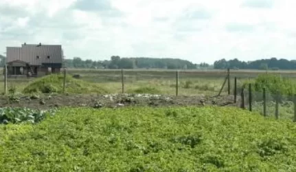 Užsieniečiai žemės pirkti negalės dar 3 metus