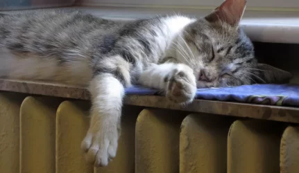 Šildymo sezonas – savaite anksčiau