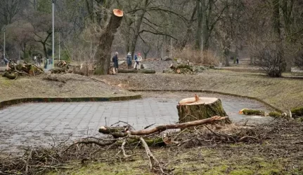 Sereikiškių parko gaivinimas baigėsi iškirstais medžiais