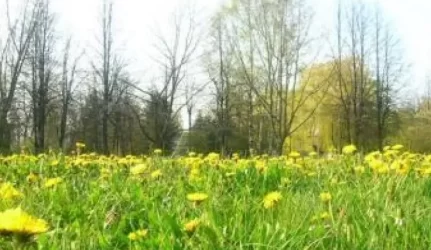 Žemės grąžinimą Vilnijos krašte planuojama baigti 2013 m.