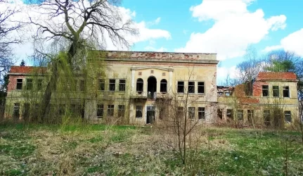 Paveldosaugininkai jau kreipiasi į teismus dėl apleistų dvarų nusavinimo