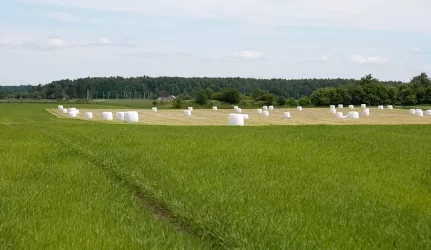 Papildomos pajamos į biudžetą - iš žemės nuomos