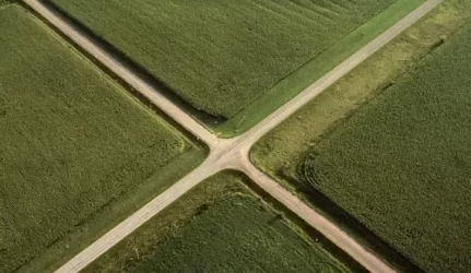 Palaiko siekį pratęsti draudimą užsieniečiams įsigyti žemės