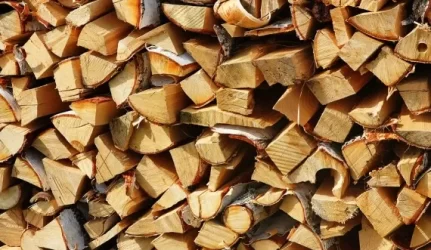 Lietuviai grįžta prie malkų ir anglių