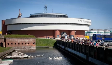 Delfinariumas uždaromas rekonstrukcijai