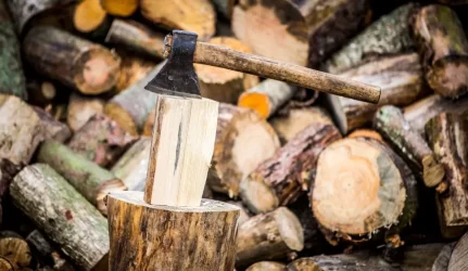 Radviliškį šildys biokuras