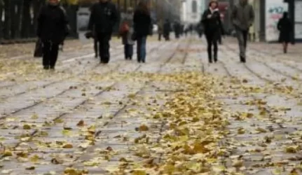 Lapai mieste: šiukšlės ar grožis?