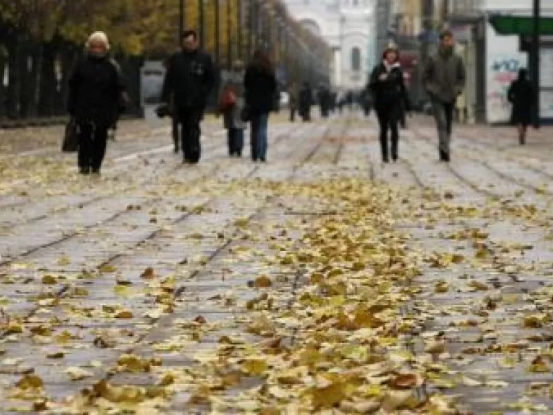 Lapai mieste: šiukšlės ar grožis?