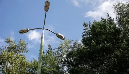 Gatvių apšvietimo stulpus pakeis švytintys medžiai?