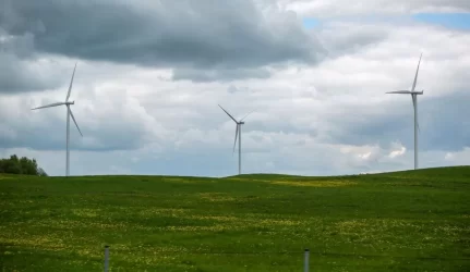 Žaliajai energetikai - paramos trupiniai