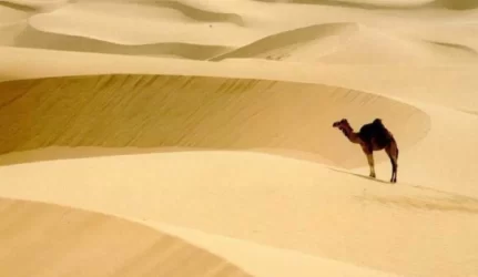 Iš saulės ir smėlio dykumoje gamins energiją