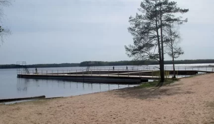 Remia jėgainės statybą Visagine