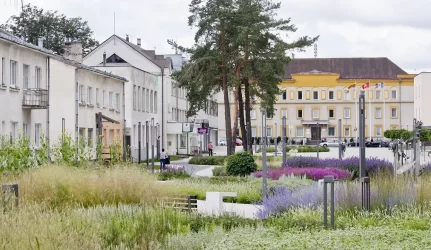 Nesutaria, ar hipodromas Varėnoje statomas teisėtai