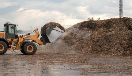 Aktyviausiai eglutes biokurui gaminti nešė vilniečiai