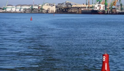 Iškelti elektros liniją iš Kiaulės nugaros nebus lengva