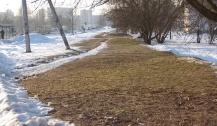 Klaipėdoje virš šilumos trasų – pavasaris