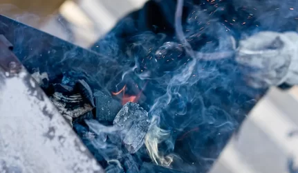 Nykstantį Palonų dvarą baigiama sukūrenti