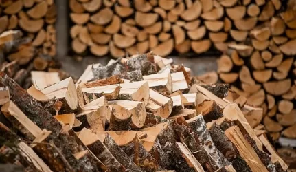 Malkos brangsta kaip ir dujos