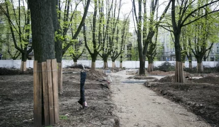 Lukiškių aikštėje žaliuos medžiai