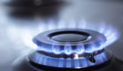 Vyriausybės netenkina “Lietuvos dujų” valdybos narių atsakymai