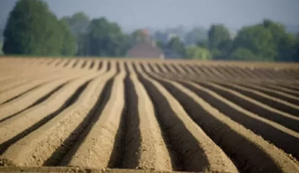 Nepritaria, kad žemė būtų parduodama užsieniečiams