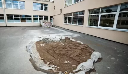 Sulaikė už Kauno mokyklų renovaciją atsakingą V. Ražanską