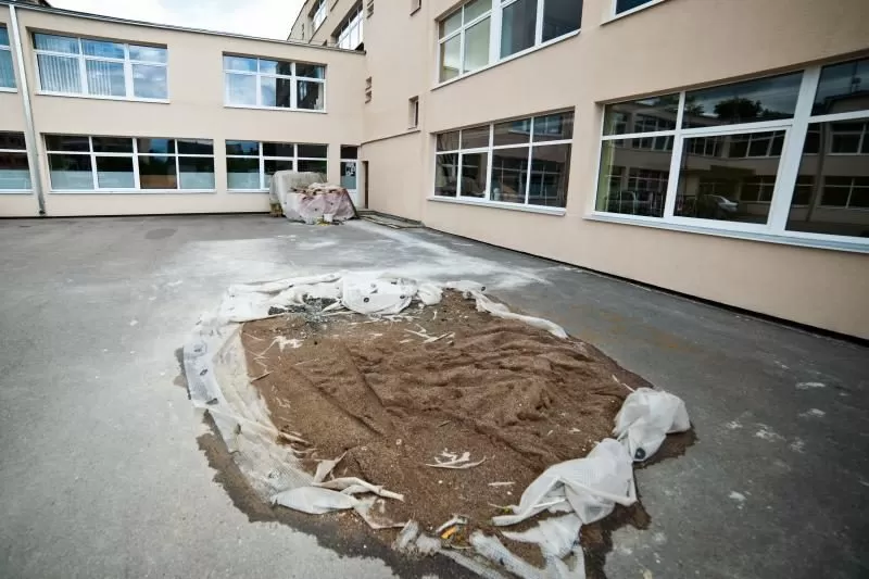 Sulaikė už Kauno mokyklų renovaciją atsakingą V. Ražanską