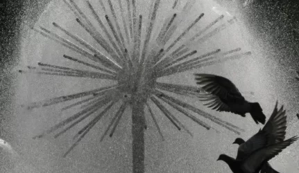 Žiemos neatlaikė pusė Šiaulių fontanų