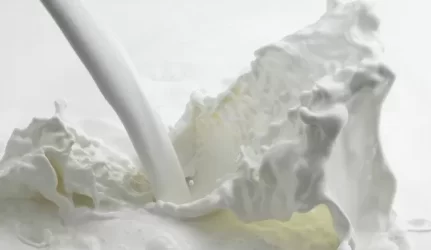 Pieno gamyklos statybos vėluoja