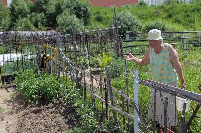 Sostinės daugiabučių papėdėje – daržininkų valdos