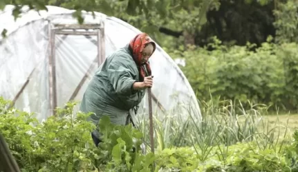 Sodininkai atleisti nuo mokesčio už bendro naudojimo žemę