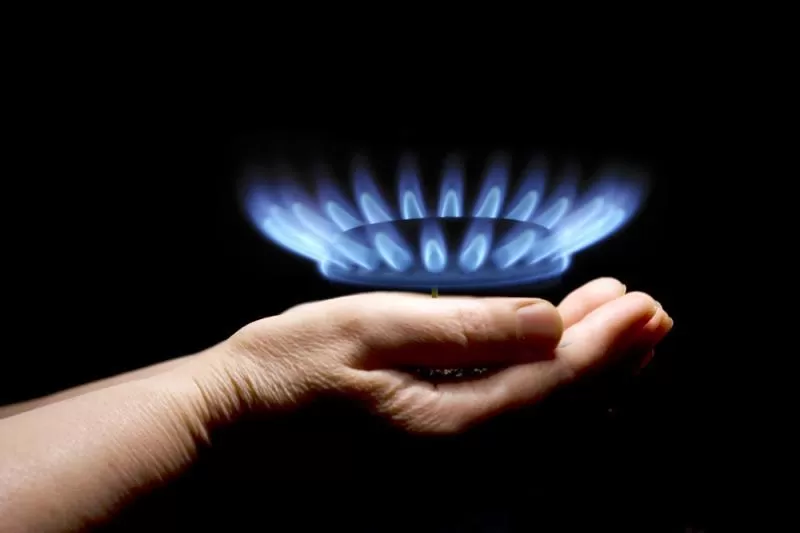 Seimas pritarė “Lietuvos dujų” skaidymui