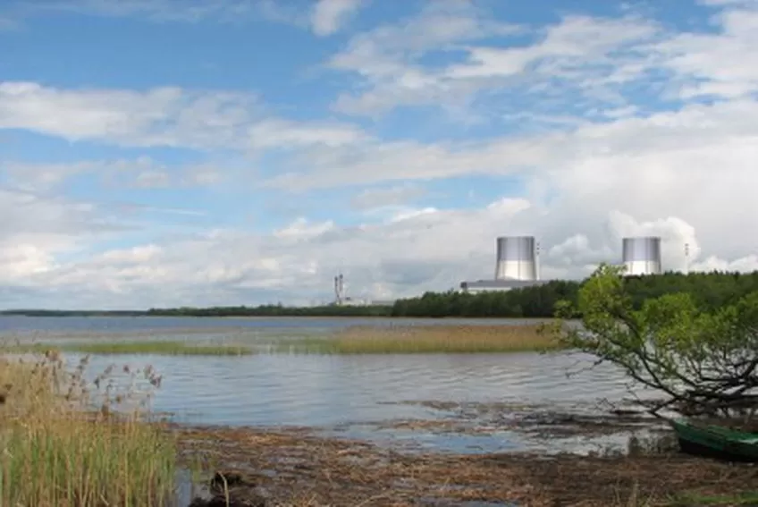 Į Visagino AE investuoti panoro dvi bendrovės