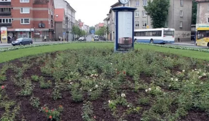 Klaipėdos gėlynams – daigai iš Ukmergės